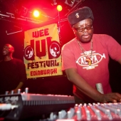 wee-dub-festival-2012_8